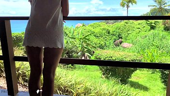 Honeymoon Luxury Paradise Hotel Window Fuck - Projectfundiary free video